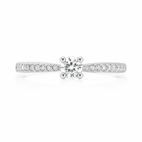 Anillo de diamantes en oro blanco 18k