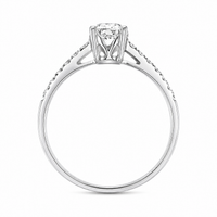 Anillo de diamante en oro blanco